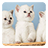 icon Kittens Live Wallpaper(Gatinhos Papel de Parede Vivo) 3.5