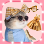 icon Cat fashion stylist(Sons de gato real, Cat Fashion)