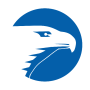 icon Wichita Eagle(A águia de Wichita o Kansas.com)