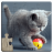 icon Cat Puzzles(Puzzle Game Kids) 32.0