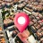 icon Live Earth Map(Live Earth Map 3D-GPS 360 view) 1.17