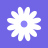 icon 4.9.2