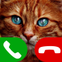 icon Fake Call Cat Game(jogo de gato de chamada falsa)