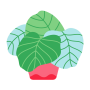 icon A Plant Care App(Plant Care App / Reminder)