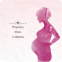 icon Pregnancy Music Collection(Coleção de músicas para gravidez)