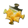 icon Jigsaw Puzzles (Quebra-cabeças)