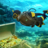 icon scuba diver treasure hunt(Scuba Diver Natação Treasure) 1.13