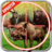 icon Jungle Sniper Hunting(Selva Sniper Caça 3D) 3.9.5