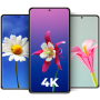 icon Flower Wallpapers(Papéis de parede de flores simples e legais 4K | HD)