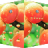 icon com.domobile.aut.cpeach(AppLock Tema Peach
) 1.0