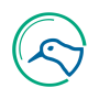 icon Wadvogels(Aves vadeando)