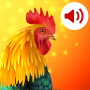 icon Animals Ringtones