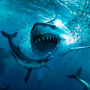 icon Megalodon Simulator()