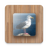 icon Bird Puzzle Games Free() 2.23