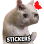 icon Stickers Cats Memes(Cat Memes Adesivos WASticker)