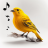 icon Bird Calls(Chamadas de pássaros, sons e toques) 13.2.2