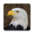 icon Eagle Sounds(Águia Sons e Ringtone) 2.9