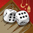 icon Backgammon Plus(Gamão Plus) 4.25.0
