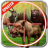 icon Jungle Sniper Hunting(Selva Sniper Caça 3D) 5.1