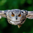 icon Owl Sounds(Sons de coruja) 3.0.0