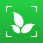 icon Plant Identifier: Plantiary (Identificador de planta: Plantiary)