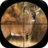 icon Deer Calls(Caça ao veado Chamadas Soundboard) 4.0