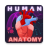 icon Human Anatomy E Theories(Anatomia Humana E Teorias
) 0.32