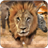 icon SavannaRace(Corrida de Savana) 9.0