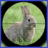 icon Rabbit Hunter(Caçador de coelho) 3.6