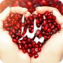 icon آهنگ های شب یلدا (canções noturnas de Yalda)