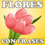 icon Flores Con Frases(Flores Com Frases)