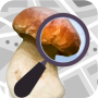 icon Mushroom Identificator(Identificação de cogumelo - Automático)