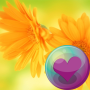 icon Flowers HD Wallpapers (Flores HD Papéis de Parede)