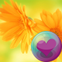 icon Beautiful Flowers HD Wallpapers(Flores HD Papéis de Parede)