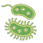 icon Bacteria(Bactérias: Tipos, Infecções) 1.0.34.127
