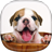 icon Puppy Live Wallpaper(Filhote de cachorro live wallpaper) 2.3