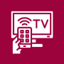 icon LgNetworkRemote(Lg Smart TV Service Remote)