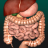 icon Internal Organs 3D Anatomy(Órgãos Internos em Anatomia 3D) 3.1