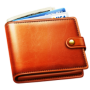 icon Wallet(Wallet - Receitas e despesas)