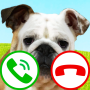 icon Fake Call Dog Game(jogo de cachorro de chamada falsa)