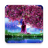 icon Sakura Garden Live Wallpaper(Papel de Parede Vivo Flor de Cerejeira) 1.0.9