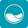 icon ICO(ICO - Nascido para simplificar drasticamente o cuidado da piscina
)