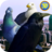 icon City Birds Simulator(Simulador de Aves da Cidade) 1