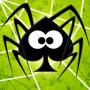 icon SpiderWeb Solitaire (Spider We