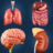 icon Organ Anatomy(Anatomia dos meus órgãos) 3.6