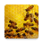 icon com.csg.apiarybook(Livro Apiário) 7.0