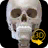icon Skelett(Esqueleto | Anatomia 3D) 2.4.1