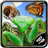 icon InsectRace(Corrida de insetos) 7.0