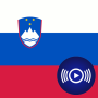 icon SI Radio(SI Radio - Rádios eslovenas
)