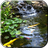 icon Pond with Koi Video Wallpaper(Lagoa com Koi Live Wallpaper) 3.0